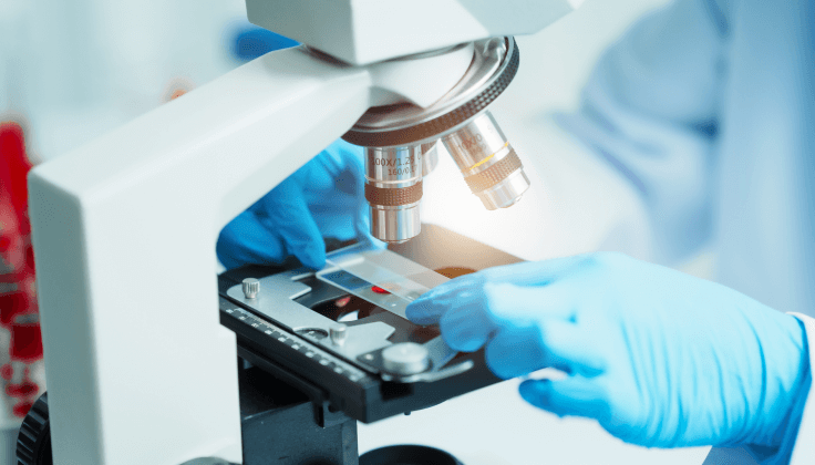 Manufacturing and Sales of Cell Culture Supernatant