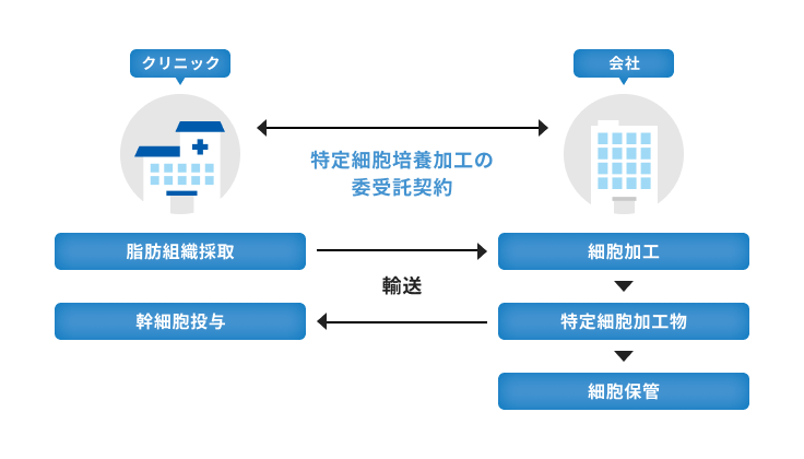 特定培養加工受託事業